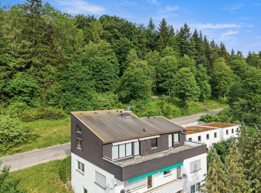 Ansicht mit Sicht zum Wald