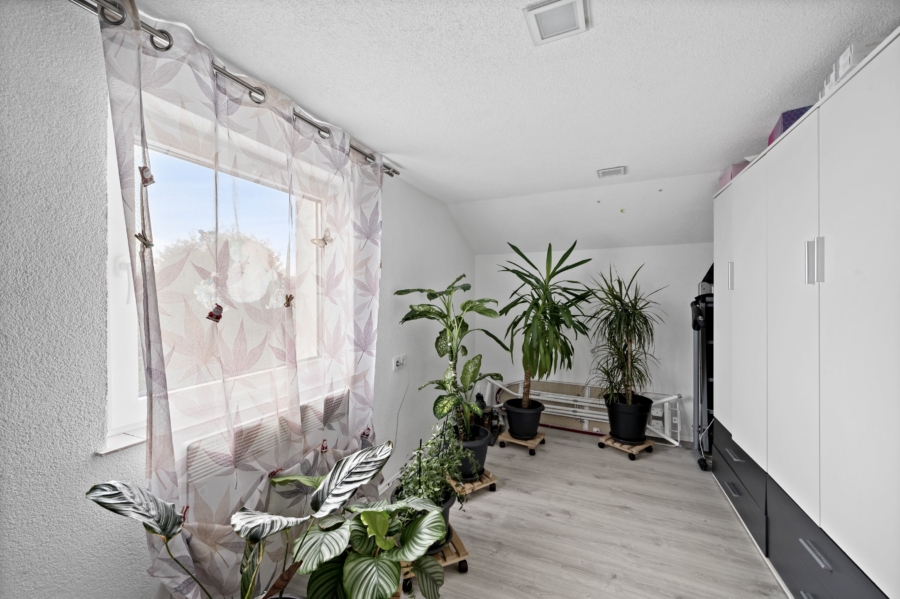 Pflanzenzimmer